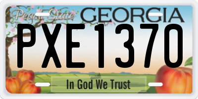 GA license plate PXE1370