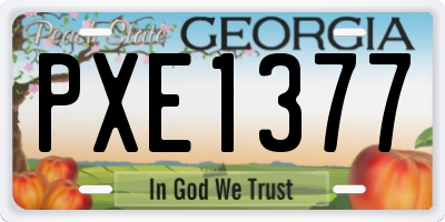 GA license plate PXE1377