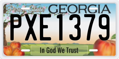 GA license plate PXE1379