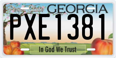 GA license plate PXE1381