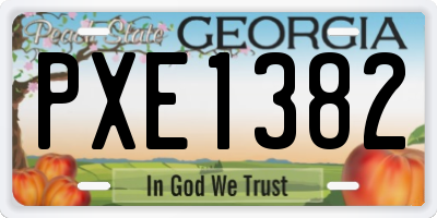 GA license plate PXE1382