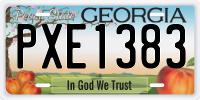 GA license plate PXE1383