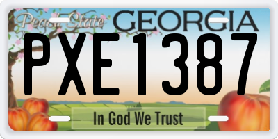 GA license plate PXE1387