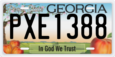 GA license plate PXE1388