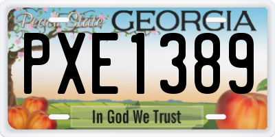 GA license plate PXE1389