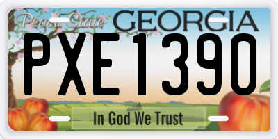 GA license plate PXE1390