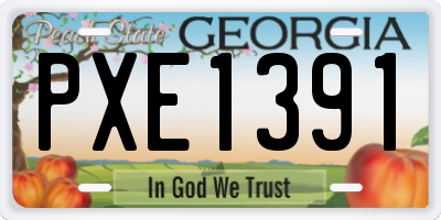 GA license plate PXE1391