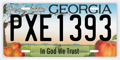 GA license plate PXE1393