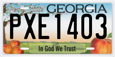 GA license plate PXE1403