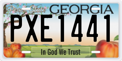 GA license plate PXE1441