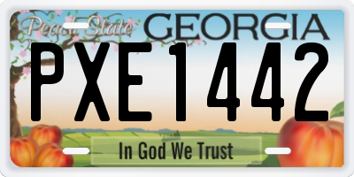 GA license plate PXE1442