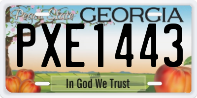 GA license plate PXE1443