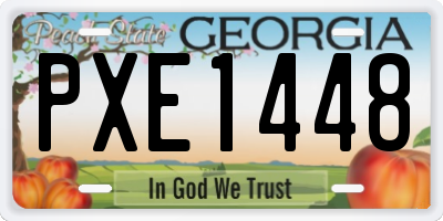 GA license plate PXE1448
