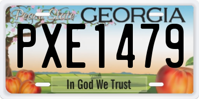 GA license plate PXE1479