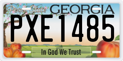 GA license plate PXE1485