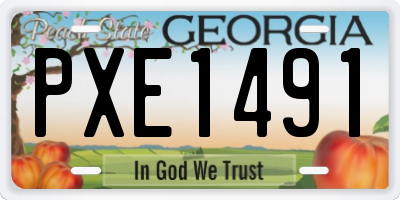 GA license plate PXE1491