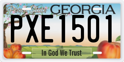 GA license plate PXE1501