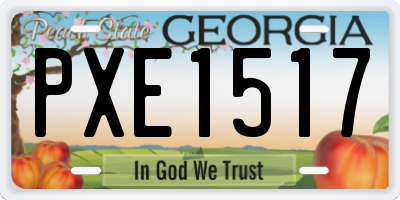 GA license plate PXE1517