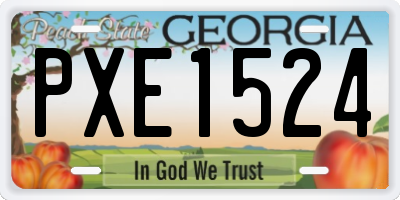 GA license plate PXE1524