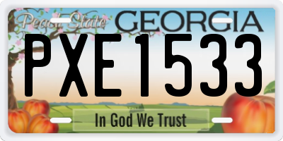 GA license plate PXE1533