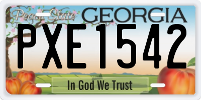 GA license plate PXE1542