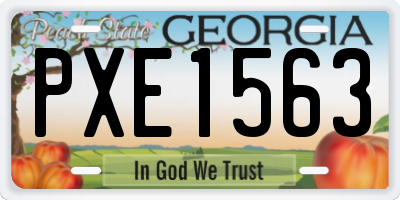 GA license plate PXE1563