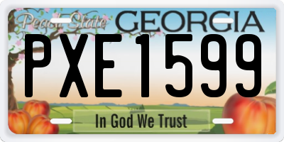 GA license plate PXE1599