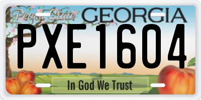 GA license plate PXE1604