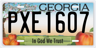 GA license plate PXE1607
