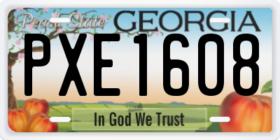 GA license plate PXE1608