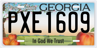 GA license plate PXE1609