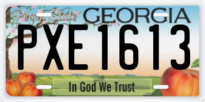 GA license plate PXE1613