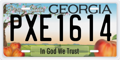 GA license plate PXE1614