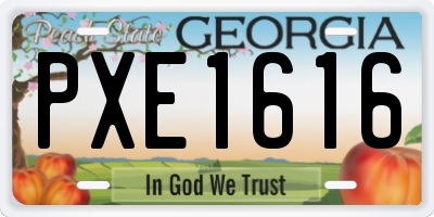 GA license plate PXE1616