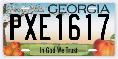 GA license plate PXE1617