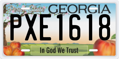 GA license plate PXE1618