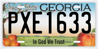 GA license plate PXE1633