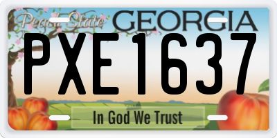 GA license plate PXE1637