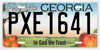 GA license plate PXE1641