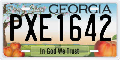 GA license plate PXE1642