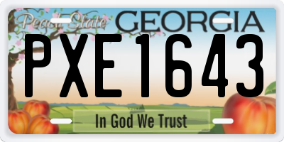 GA license plate PXE1643