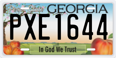 GA license plate PXE1644