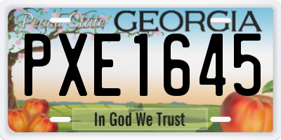 GA license plate PXE1645