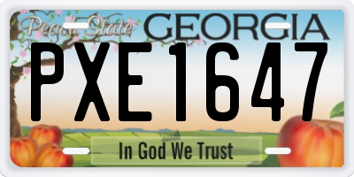 GA license plate PXE1647