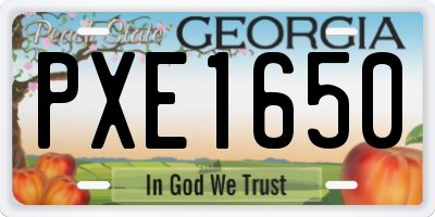 GA license plate PXE1650