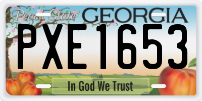 GA license plate PXE1653