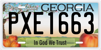 GA license plate PXE1663