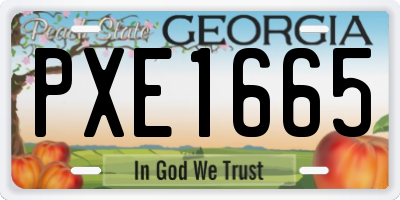 GA license plate PXE1665