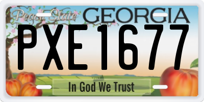 GA license plate PXE1677