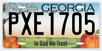 GA license plate PXE1705